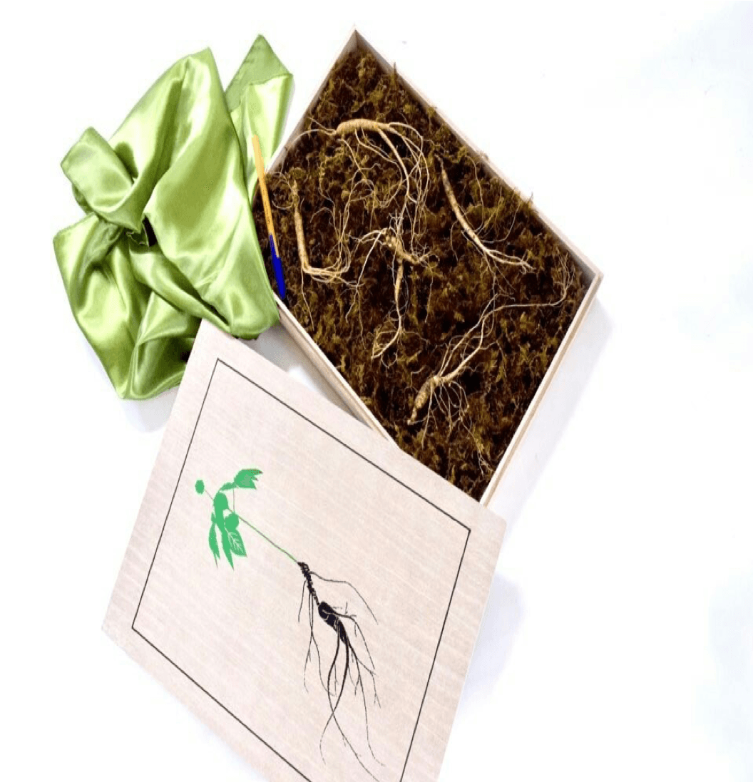 Wild Ginseng (Sanyangsam)
